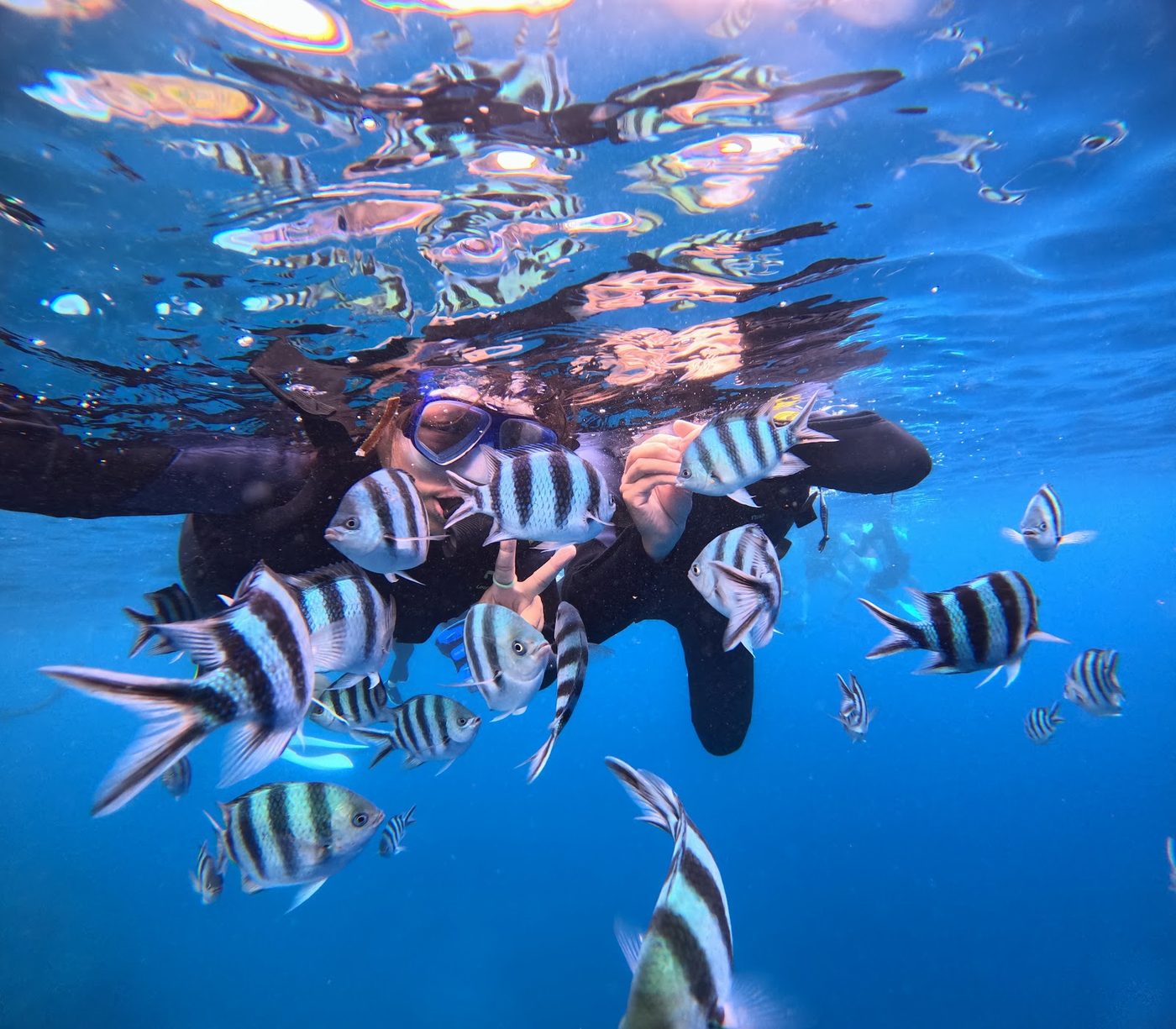 Blue Cave Snorkeling (Cape Maeda)