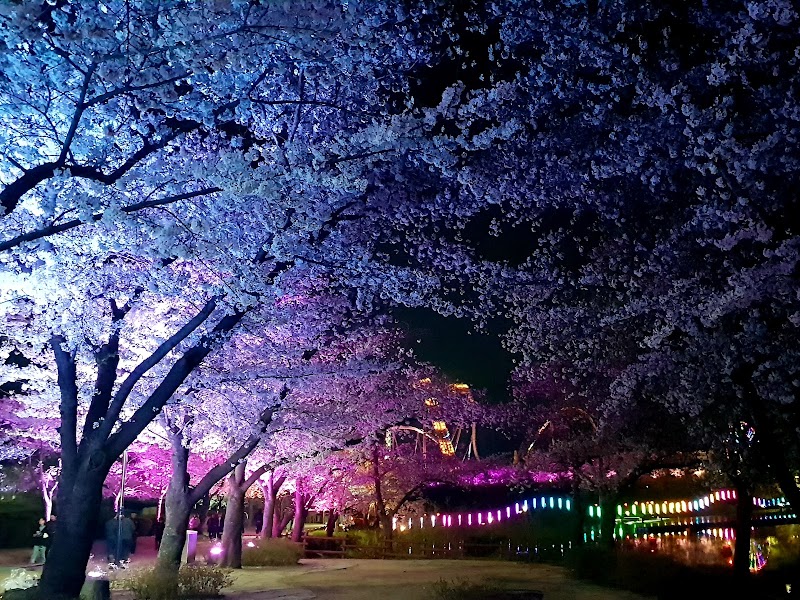 Bomun Lake Resort Area