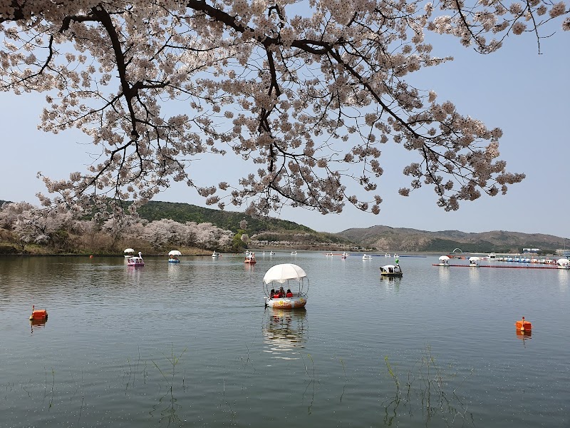 Bomun Lake Resort Area
