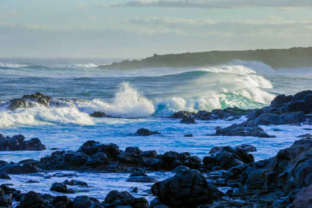Bondi Beach