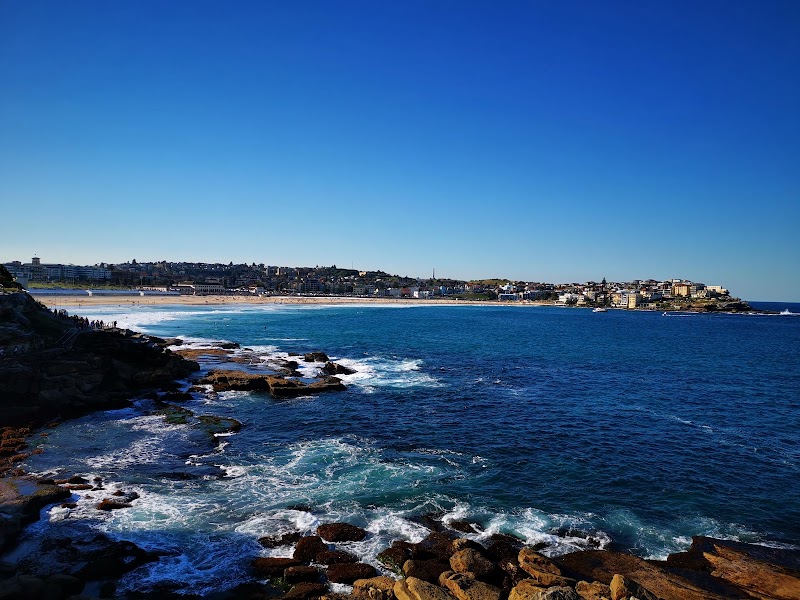Bondi Beach