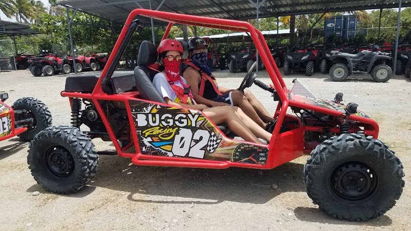 Buggy Safari