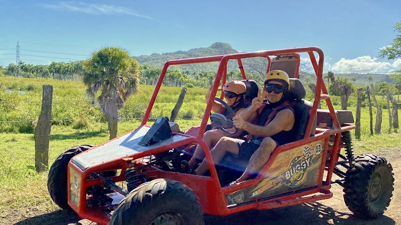 Buggy Safari