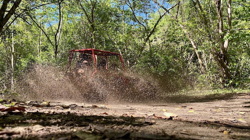 Buggy Safari