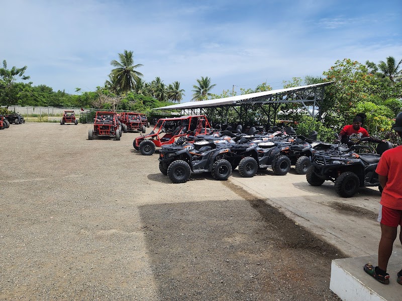 Buggy Safari