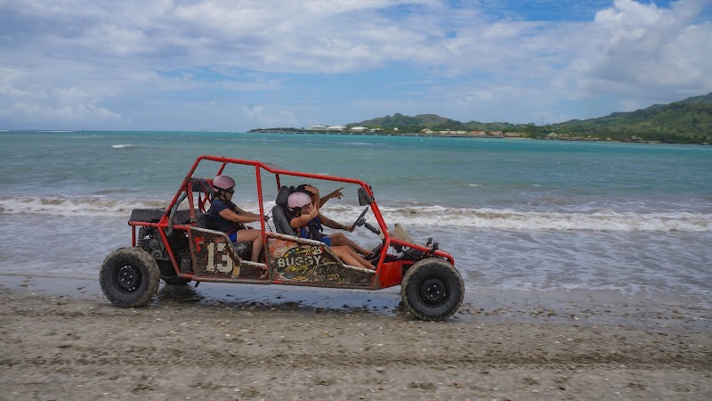 Buggy Safari