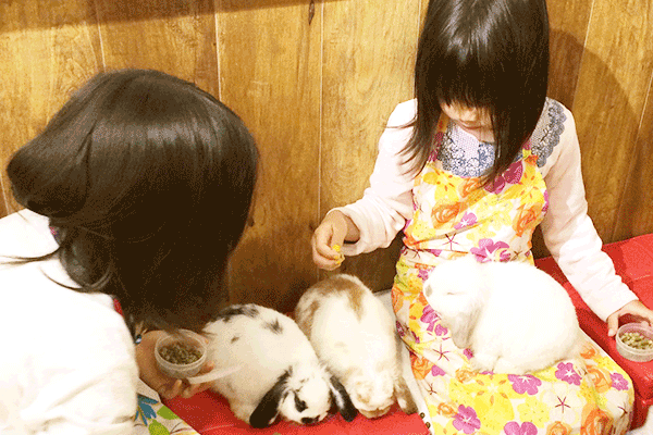 Bunny Cafe Moff Rell