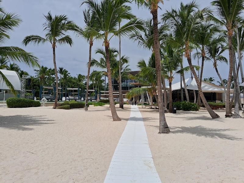 Bávaro Beach Bars
