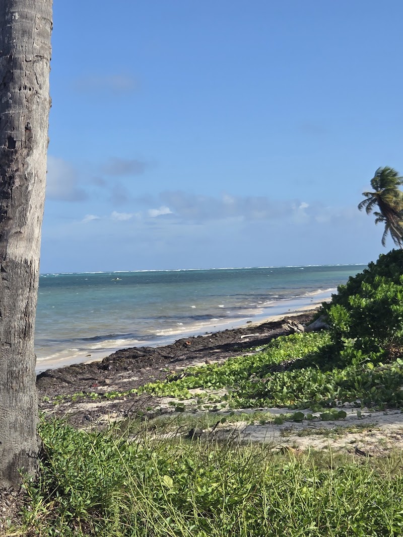 Cabeza de Toro Beach