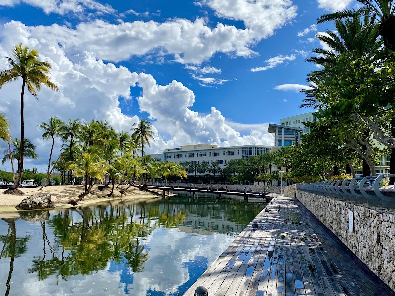 Camana Bay Town Centre
