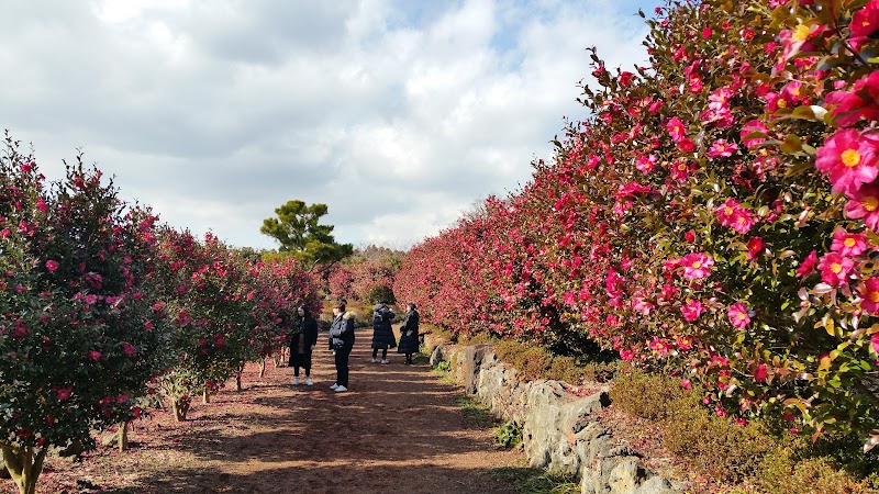 Camellia Hill
