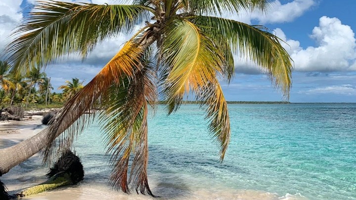 Catamaran to Saona Island