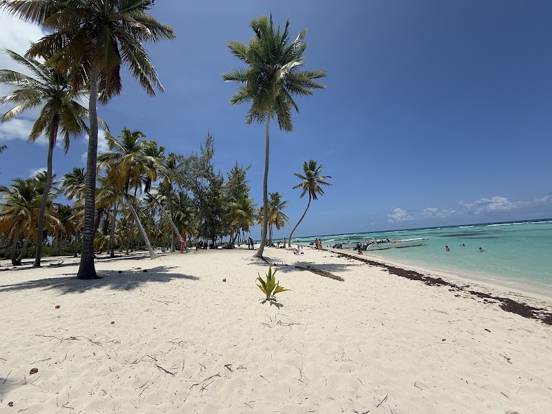 Catamaran to Saona Island