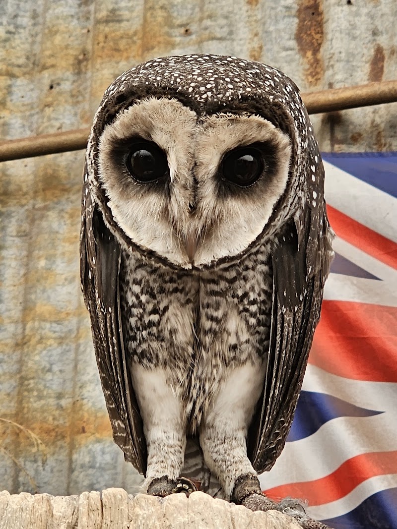 Caversham Wildlife Park