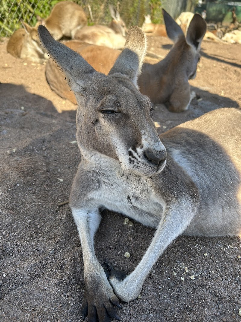 Caversham Wildlife Park