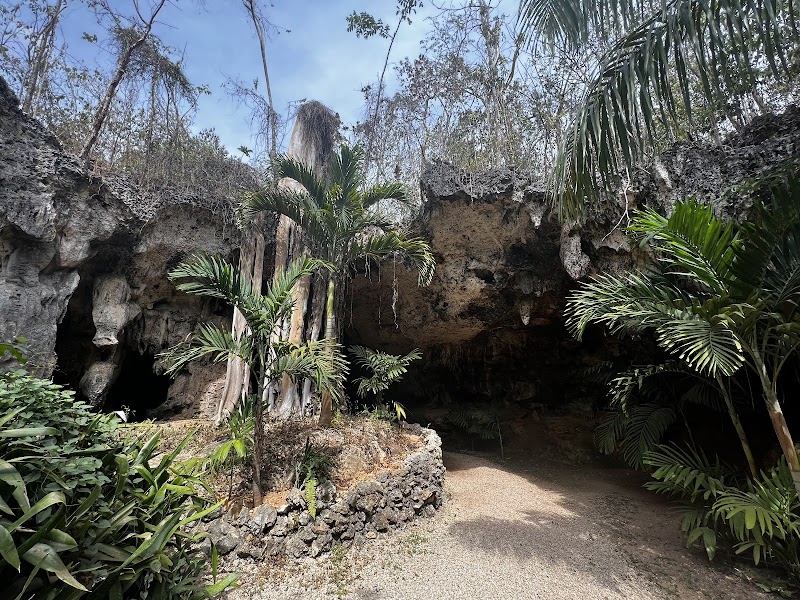 Cayman Crystal Caves