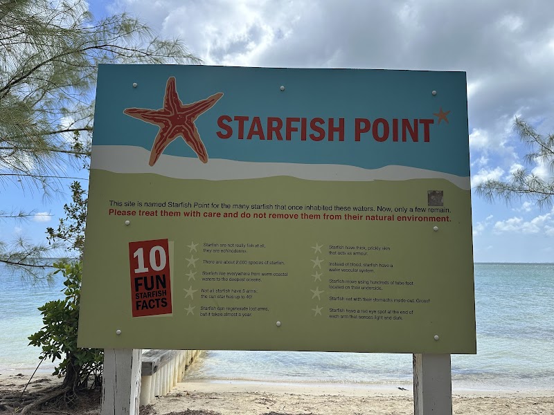 Cayman Islands Food Tour