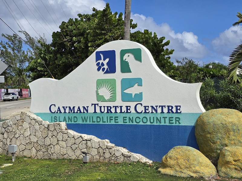Cayman Turtle Centre