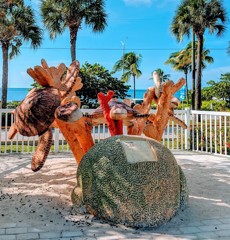 Cayman Turtle Centre