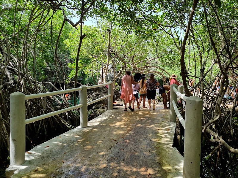 Cenote Cristalino