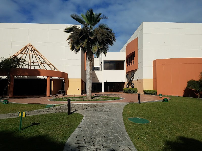 Centro León