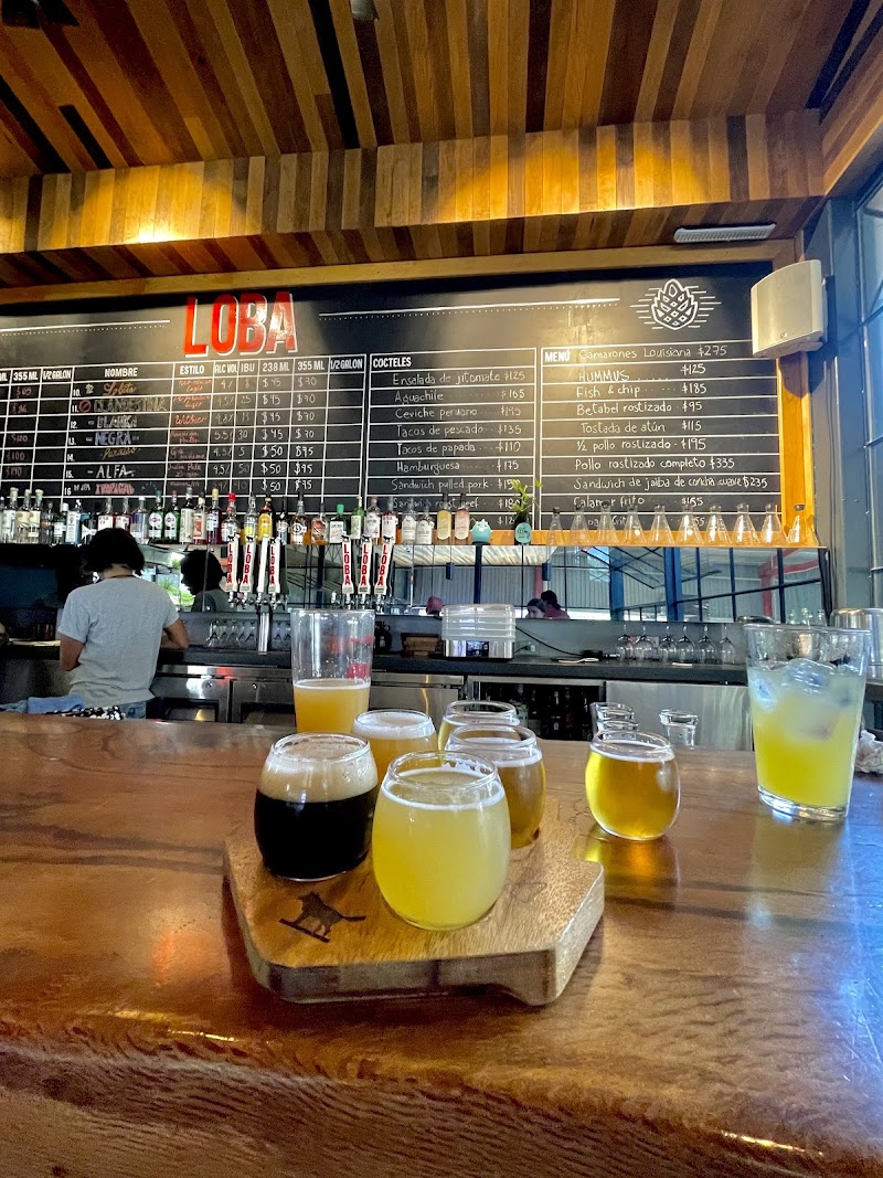Cervecería Loba