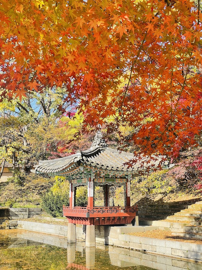 Changdeokgung Palace & Secret Garden