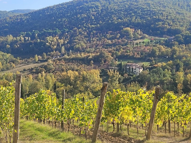 Chianti Wine Region