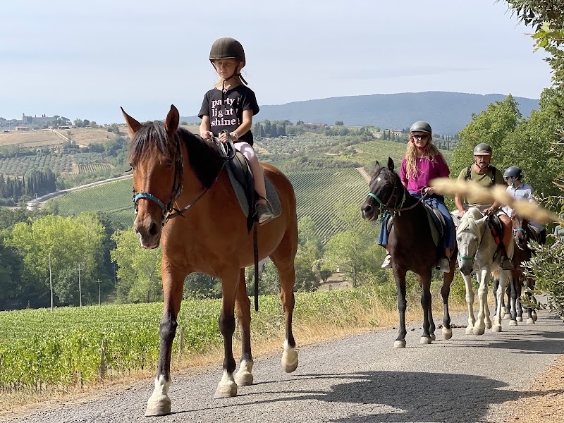 Chianti Wine Region