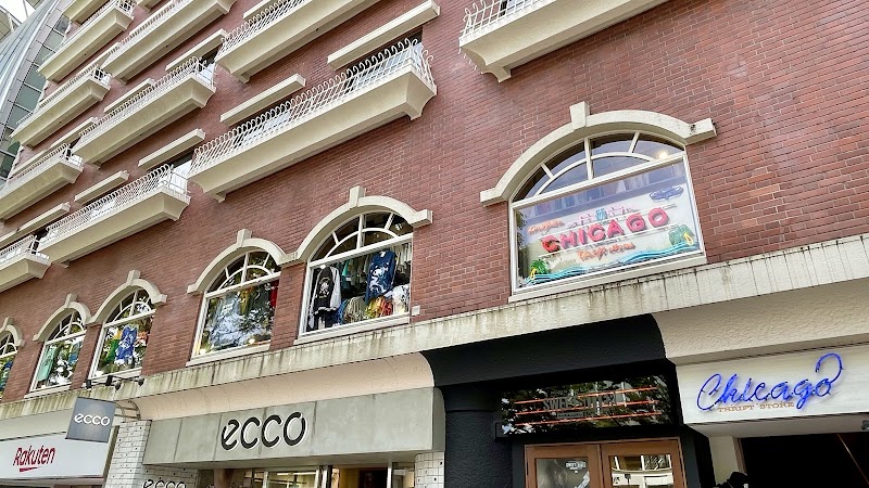 Chicago Vintage Harajuku