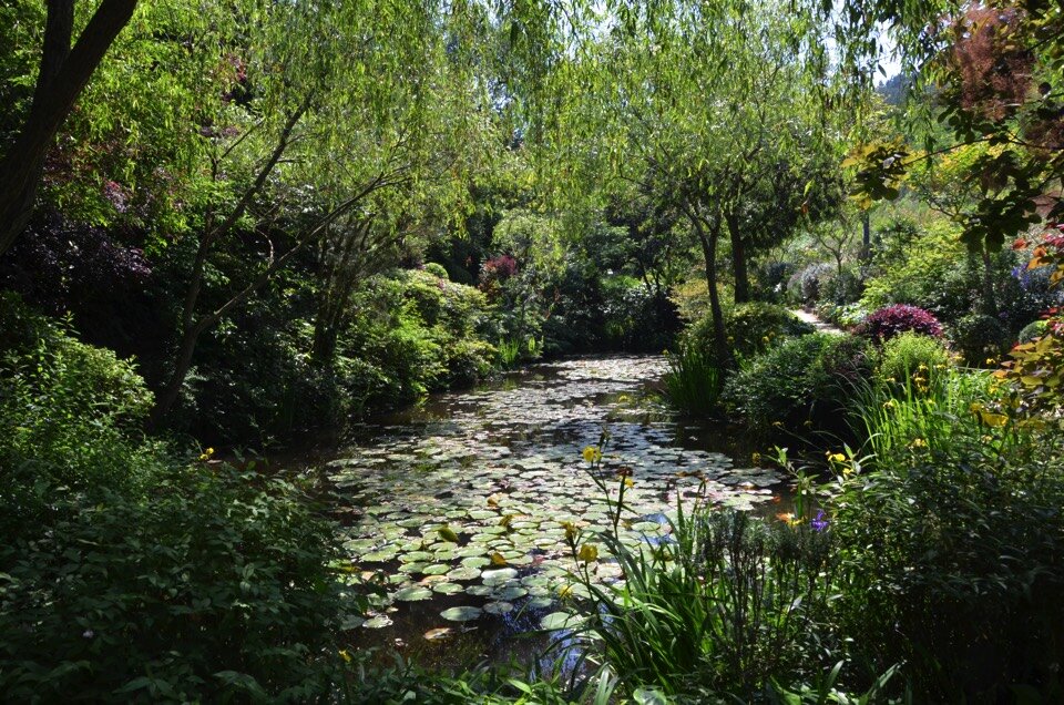Chichu Art Museum Garden