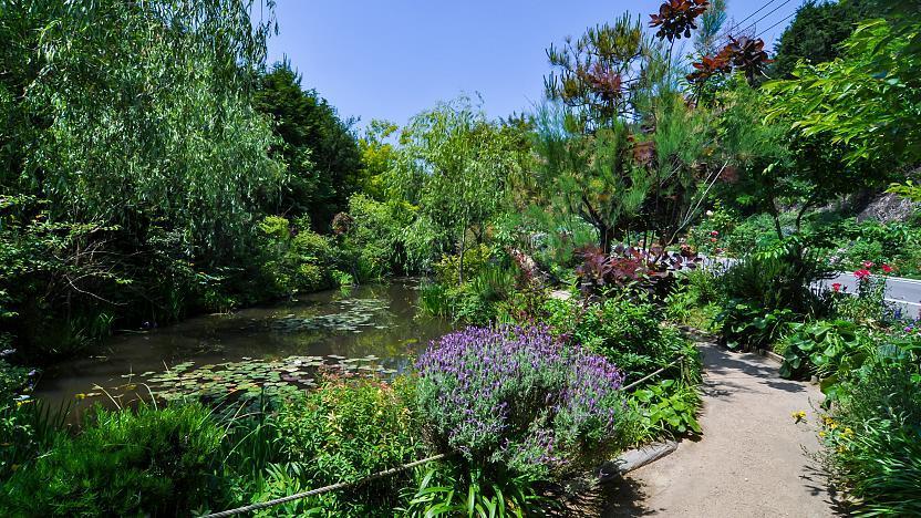 Chichu Art Museum Garden