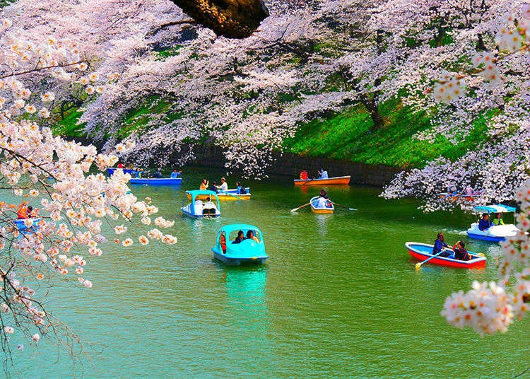 Chidorigafuchi