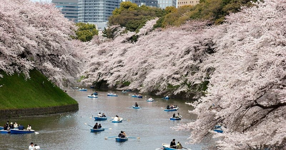 Chidorigafuchi