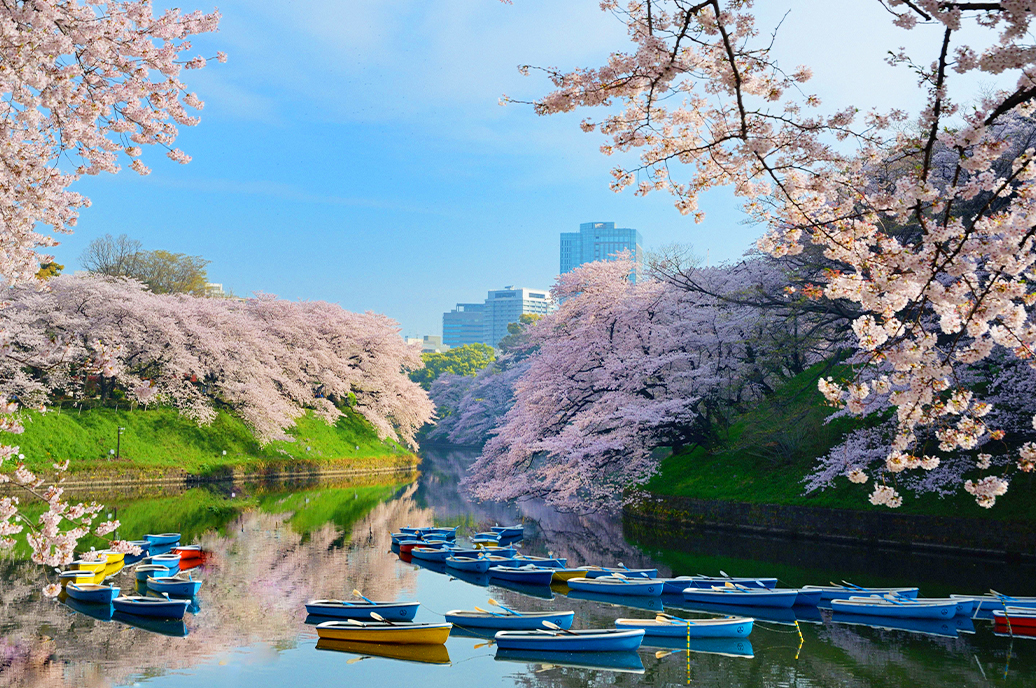 Chidorigafuchi