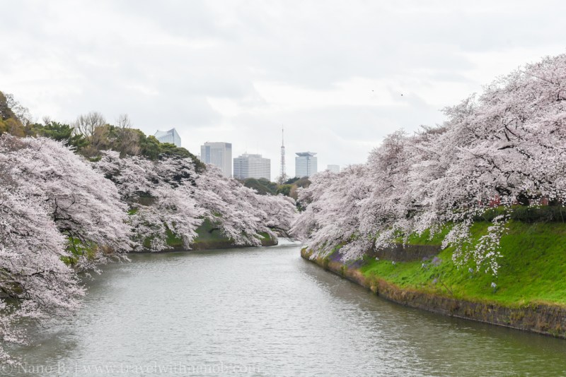 Chidorigafuchi