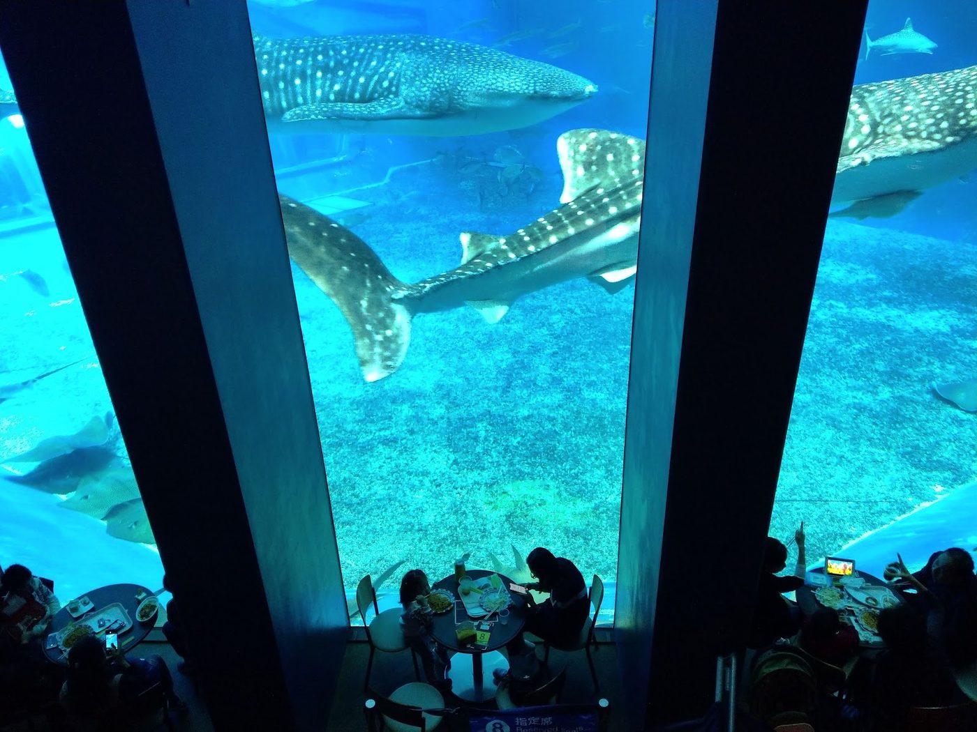 Churaumi Aquarium