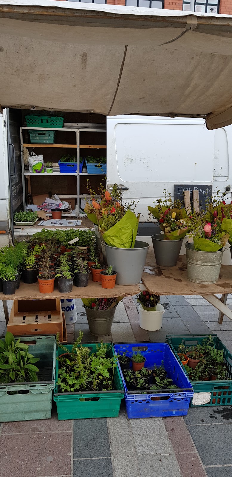 Coal Quay Market