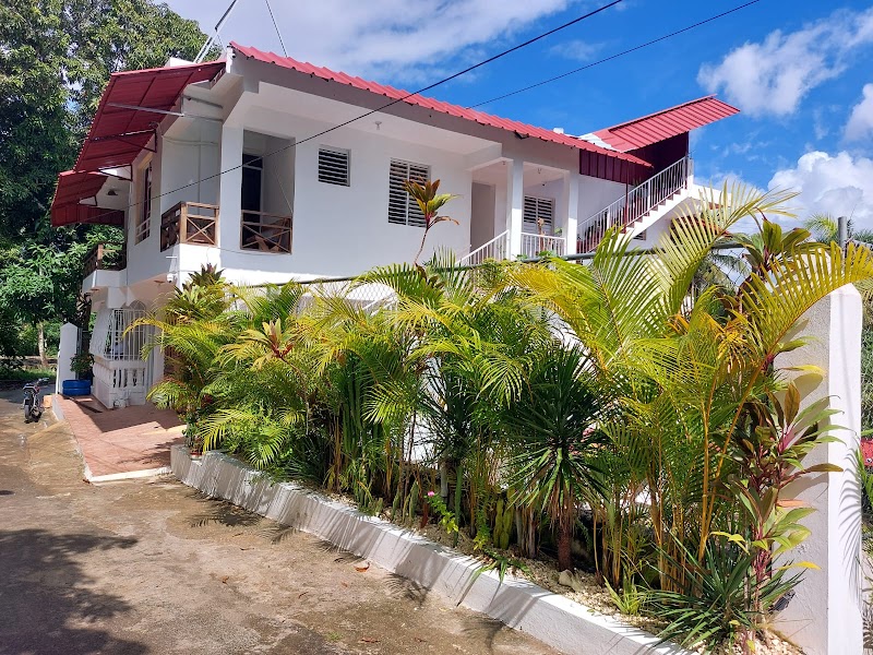 Coconut Plantation