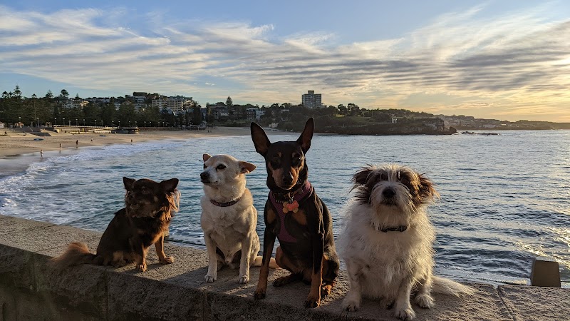 Coogee Beach