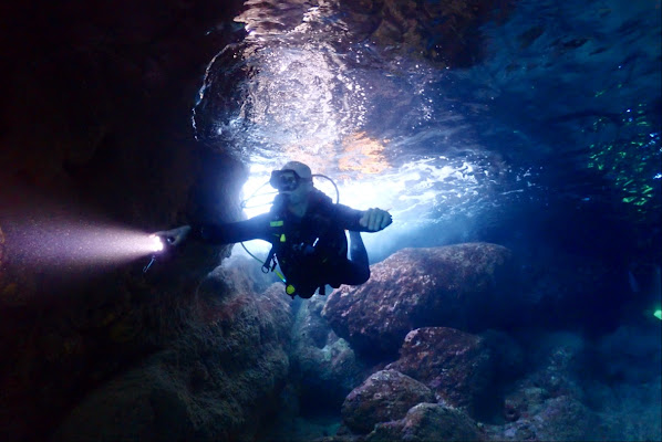 Coral Garden Diving