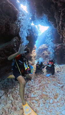 Coral Garden Diving