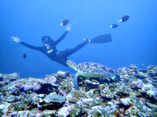 Coral Reef Snorkeling Tour