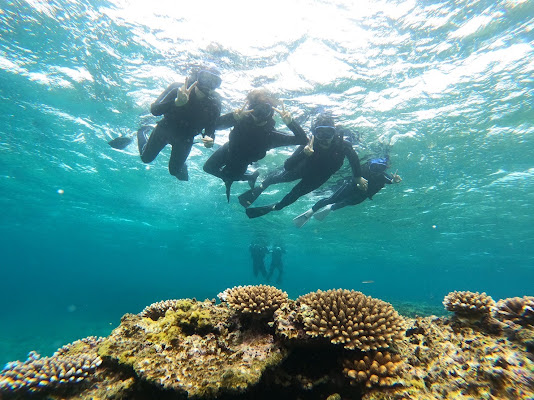 Coral Reef Snorkeling Tour