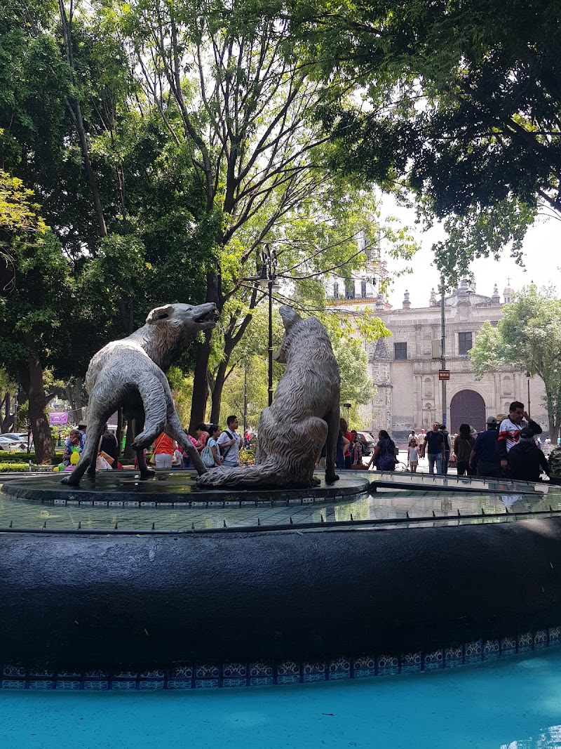 Coyoacán