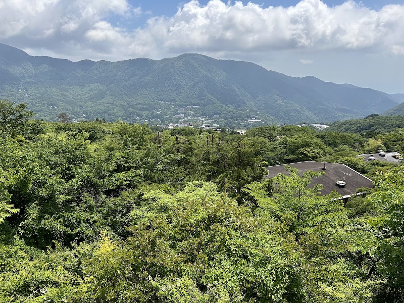 Cu-mo Hakone Sounzan