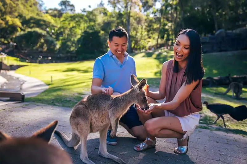Currumbin Wildlife Sanctuary