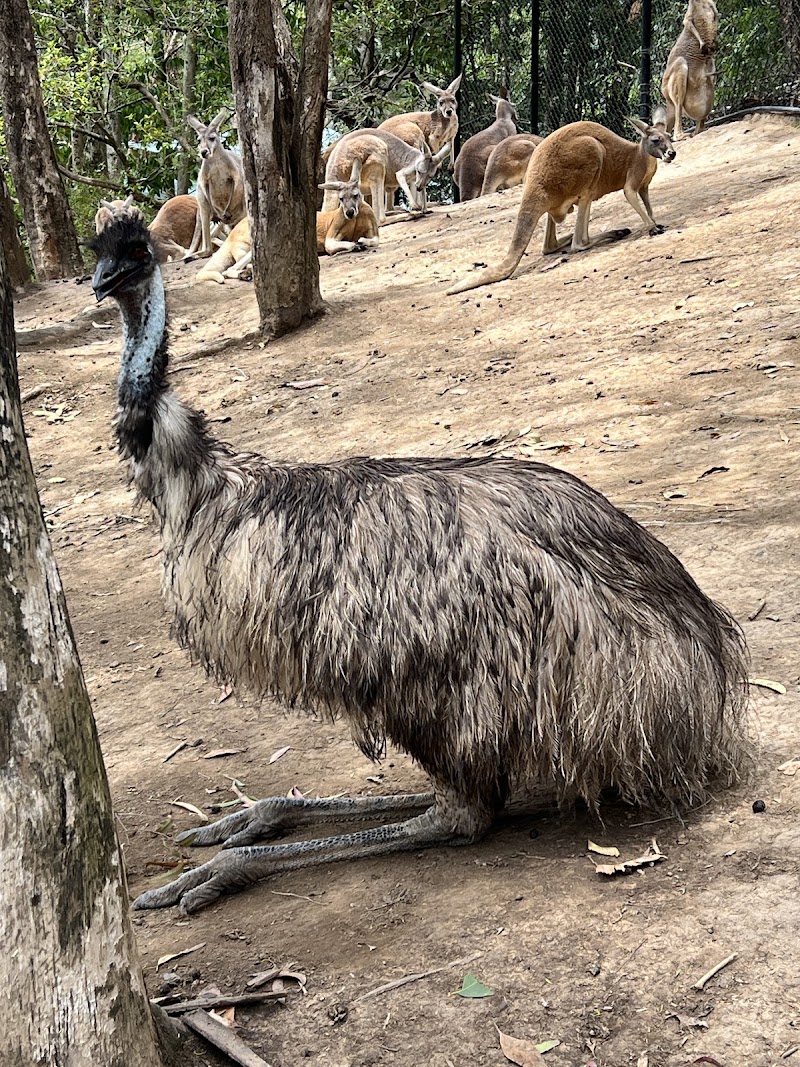 Currumbin Wildlife Sanctuary