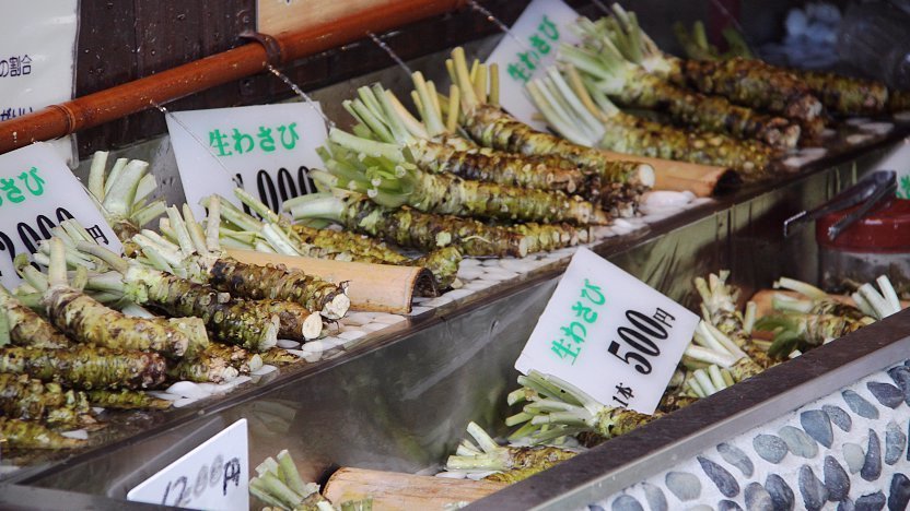 Daio Wasabi Farm