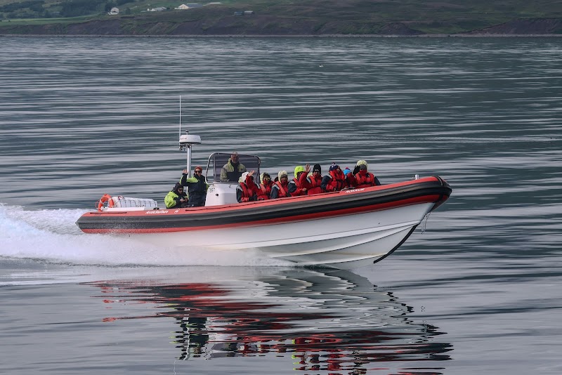 Dalvík Whale Watching
